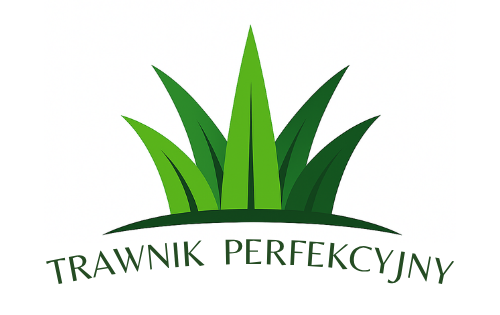 Trawnik Perfekcyjny